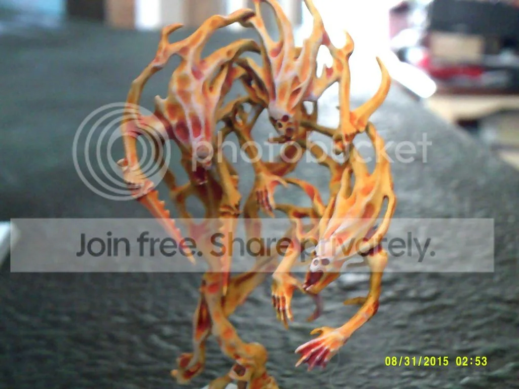 DSCF0001%202_zpspvfid0fv.webp