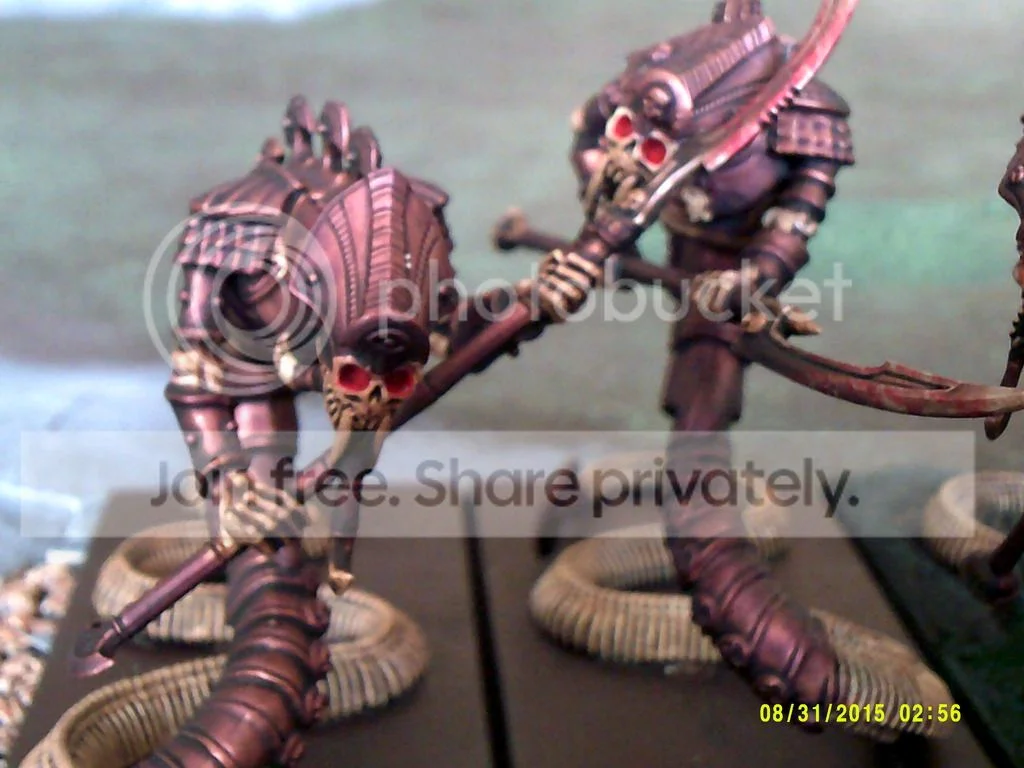 DSCF0005_zpssytvyx0b.webp