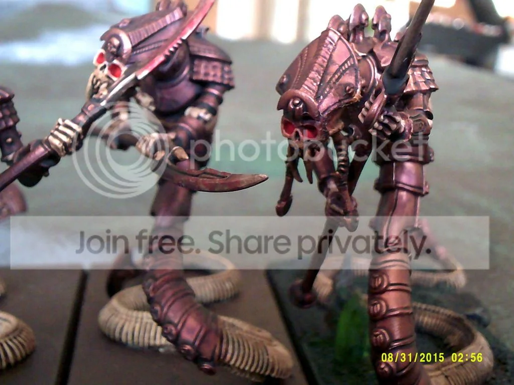 DSCF0006_zpsplftrvtx.webp