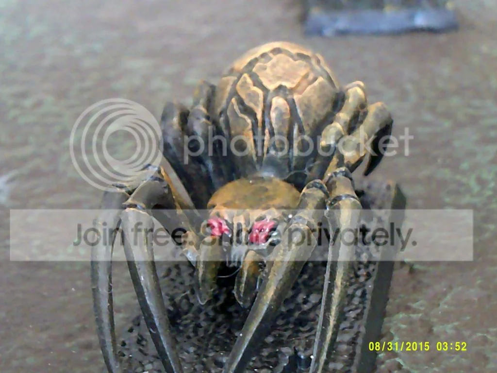 DSCF0015_zpstblav4fq.webp