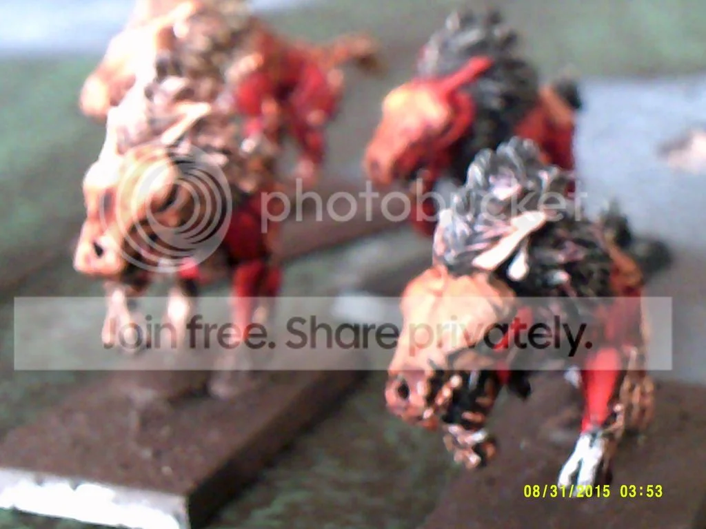 DSCF0016_zpstlvbkzpc.webp