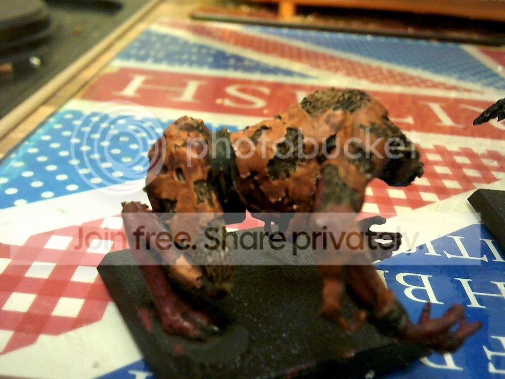 DSCF0060_zps4zvcst1v.webp