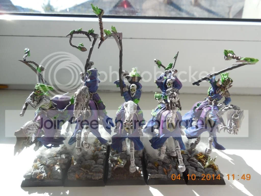 DSCN1463_zps451b7f2a.webp