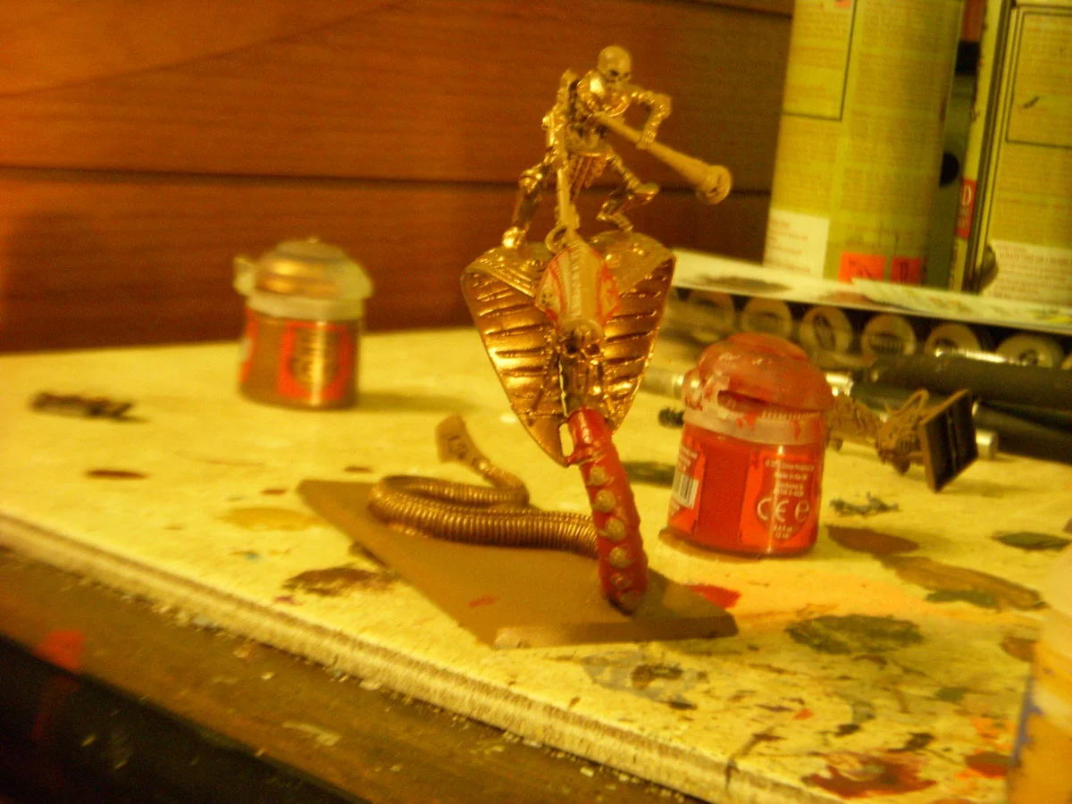 DSCN5925.webp