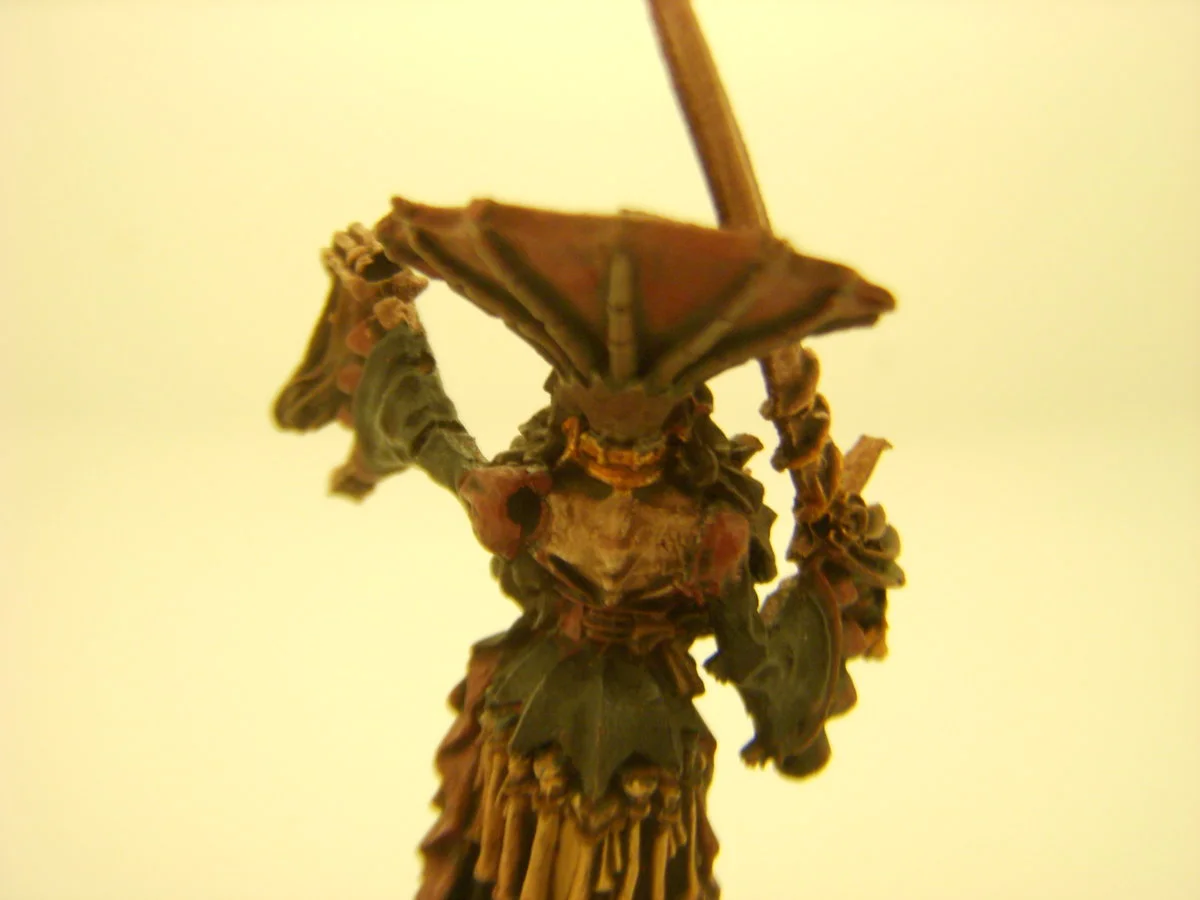 DSCN6101.webp