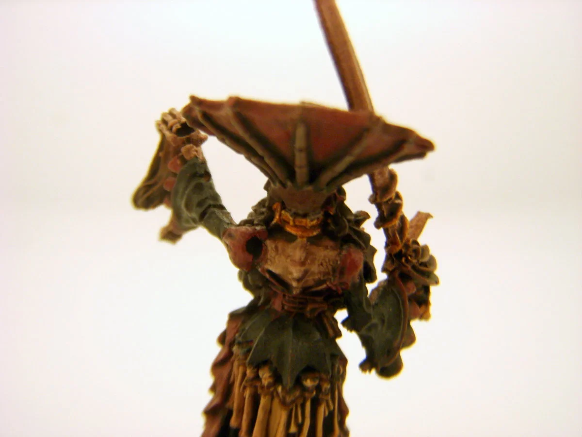 DSCN6101.webp