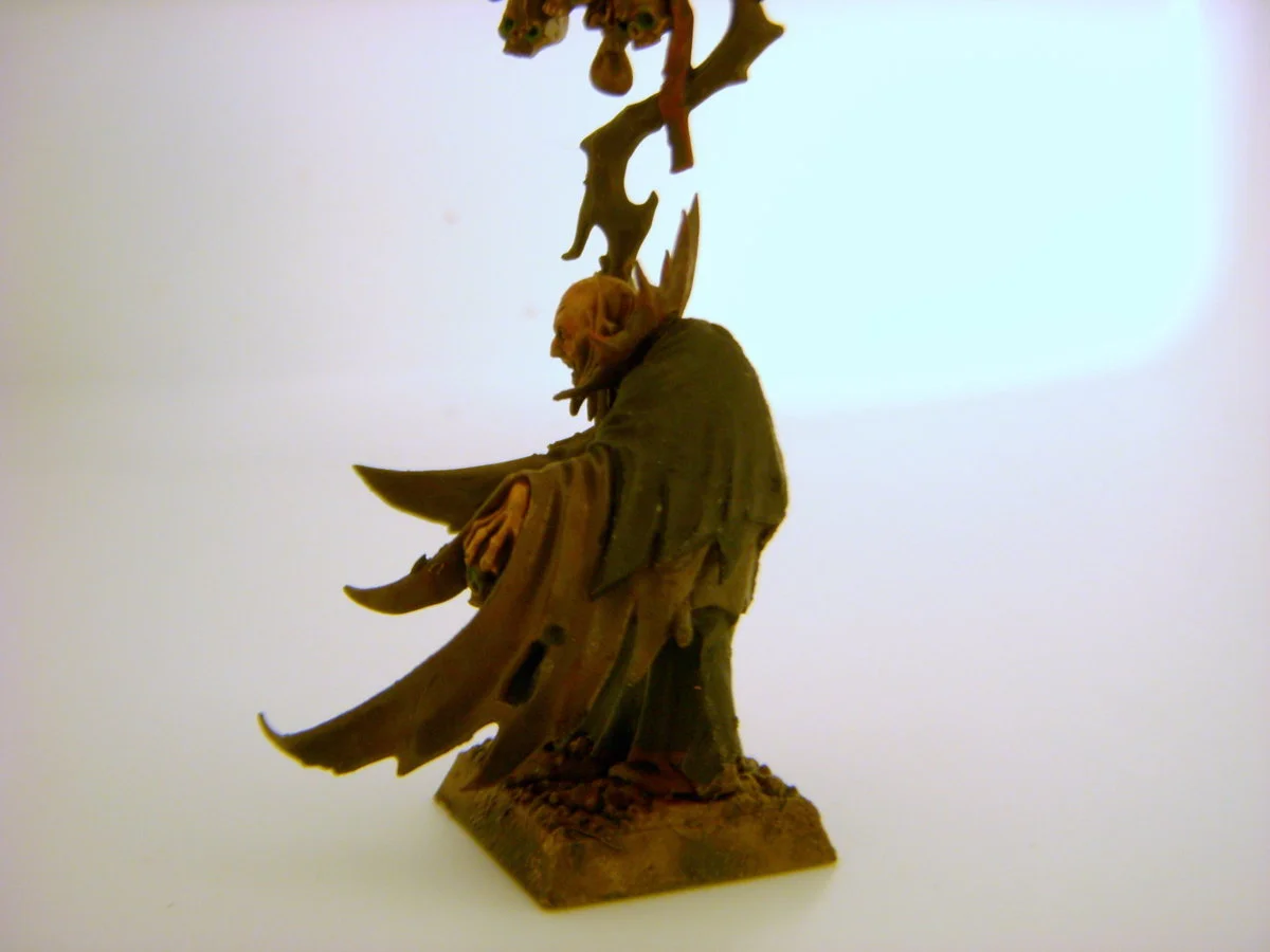 DSCN6105.webp