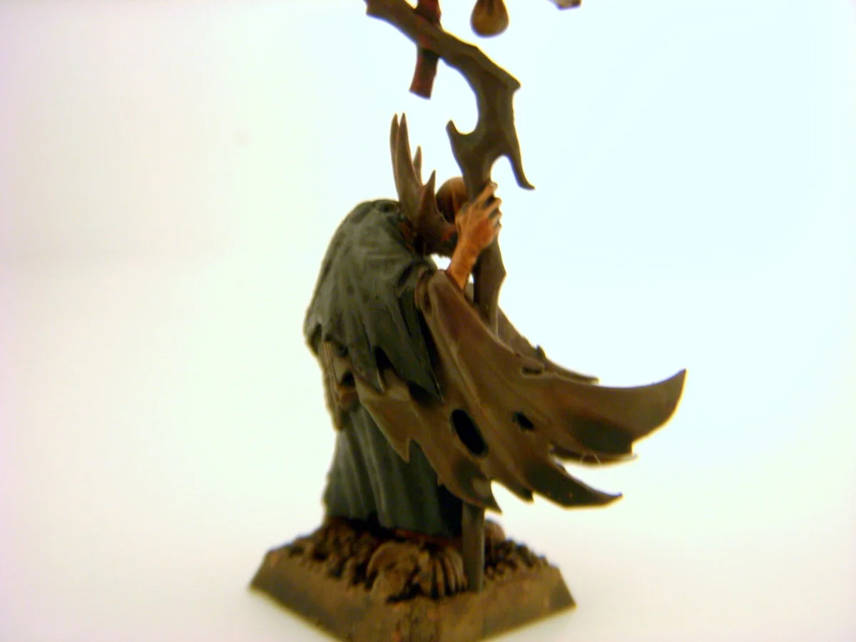 DSCN6107.webp