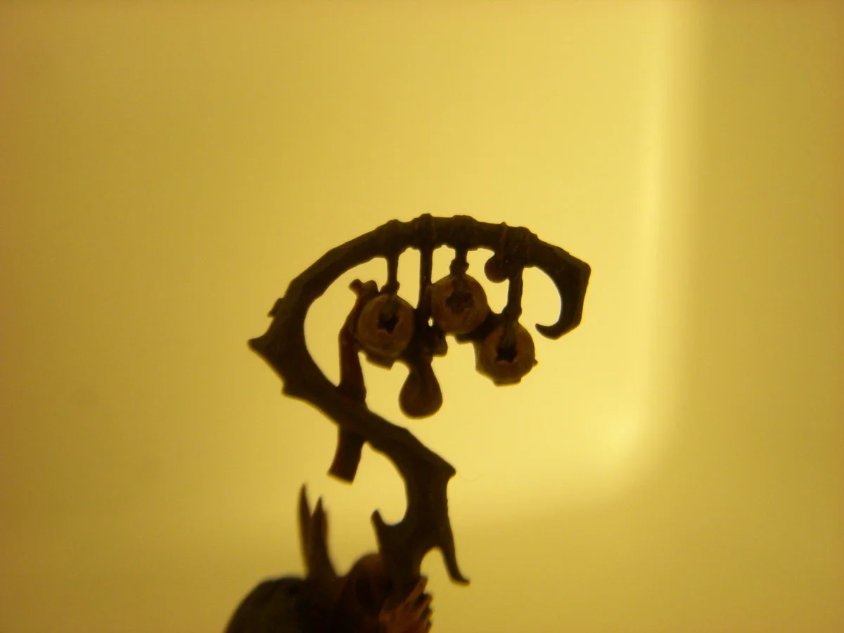 DSCN6108.webp