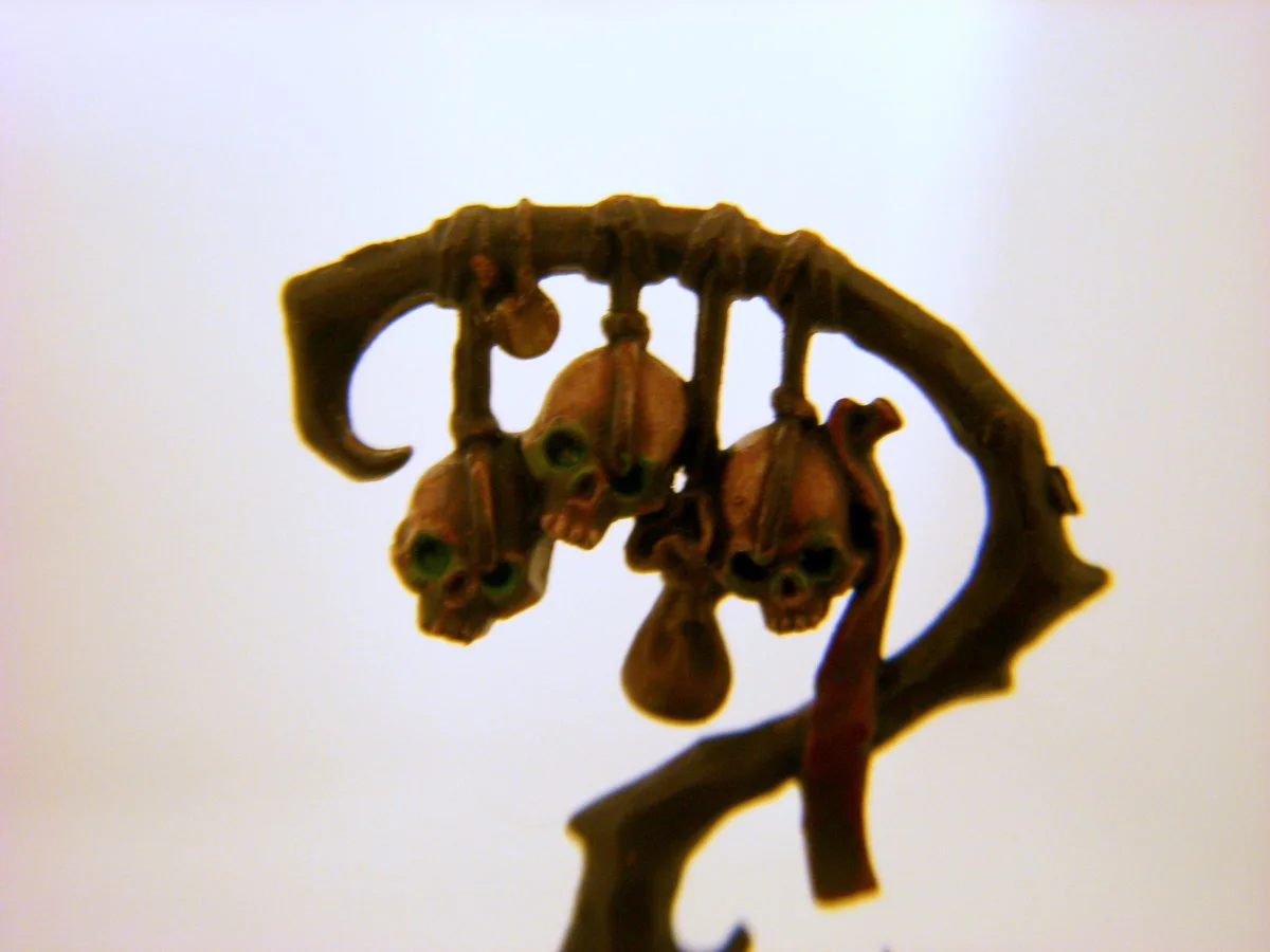 DSCN6111.webp