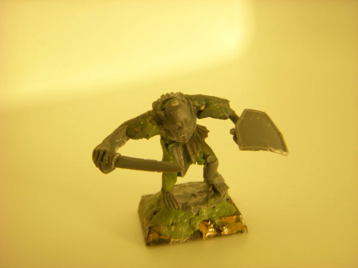 DSCN6112.webp