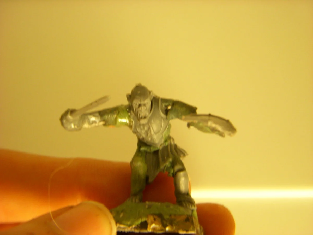 DSCN6115.webp