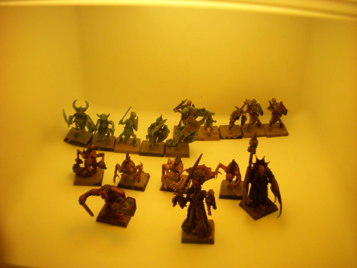 DSCN6136.webp