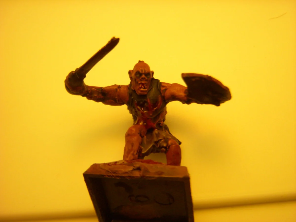 DSCN6138.webp