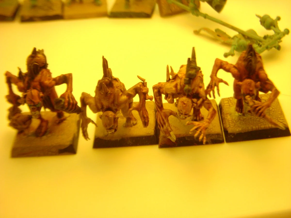 DSCN6139.webp