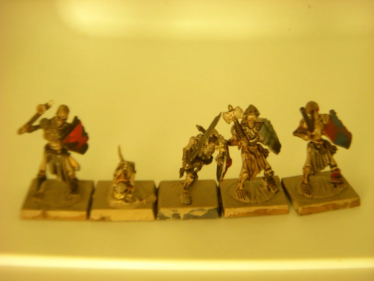 DSCN6153.webp