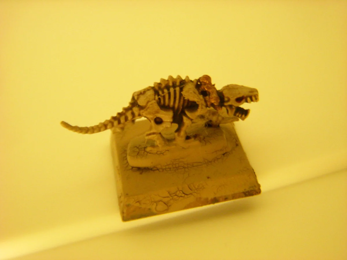 DSCN6154.webp