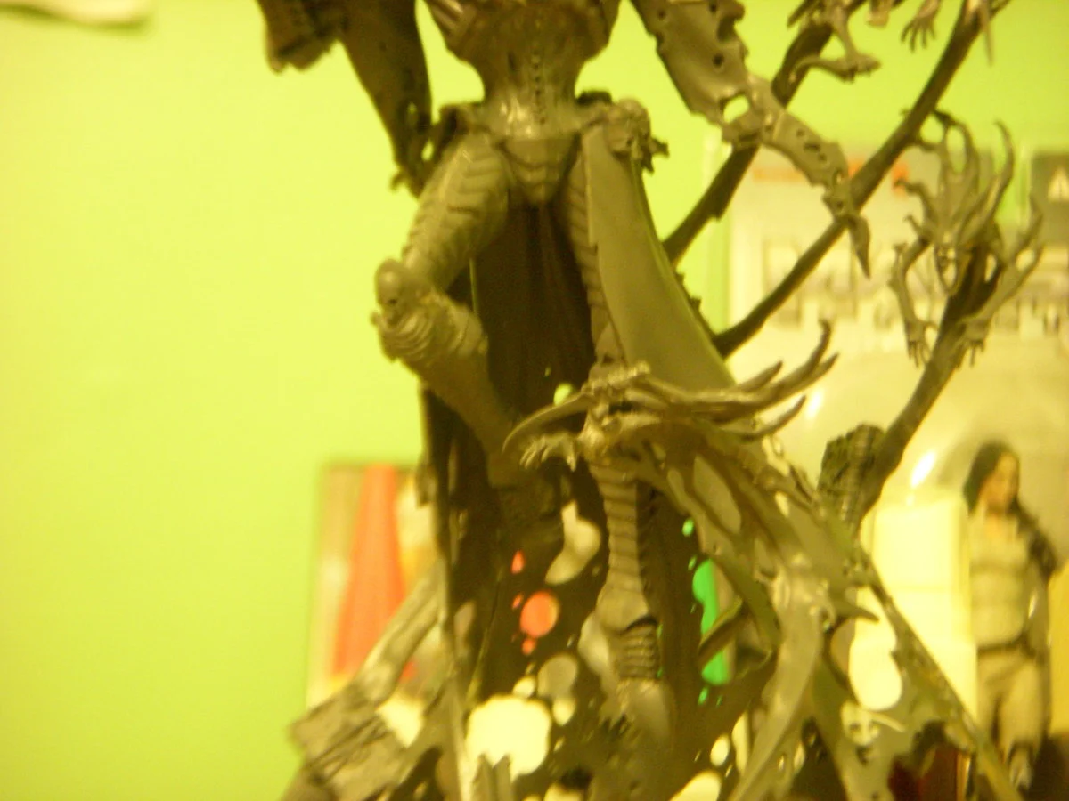 DSCN6175.webp