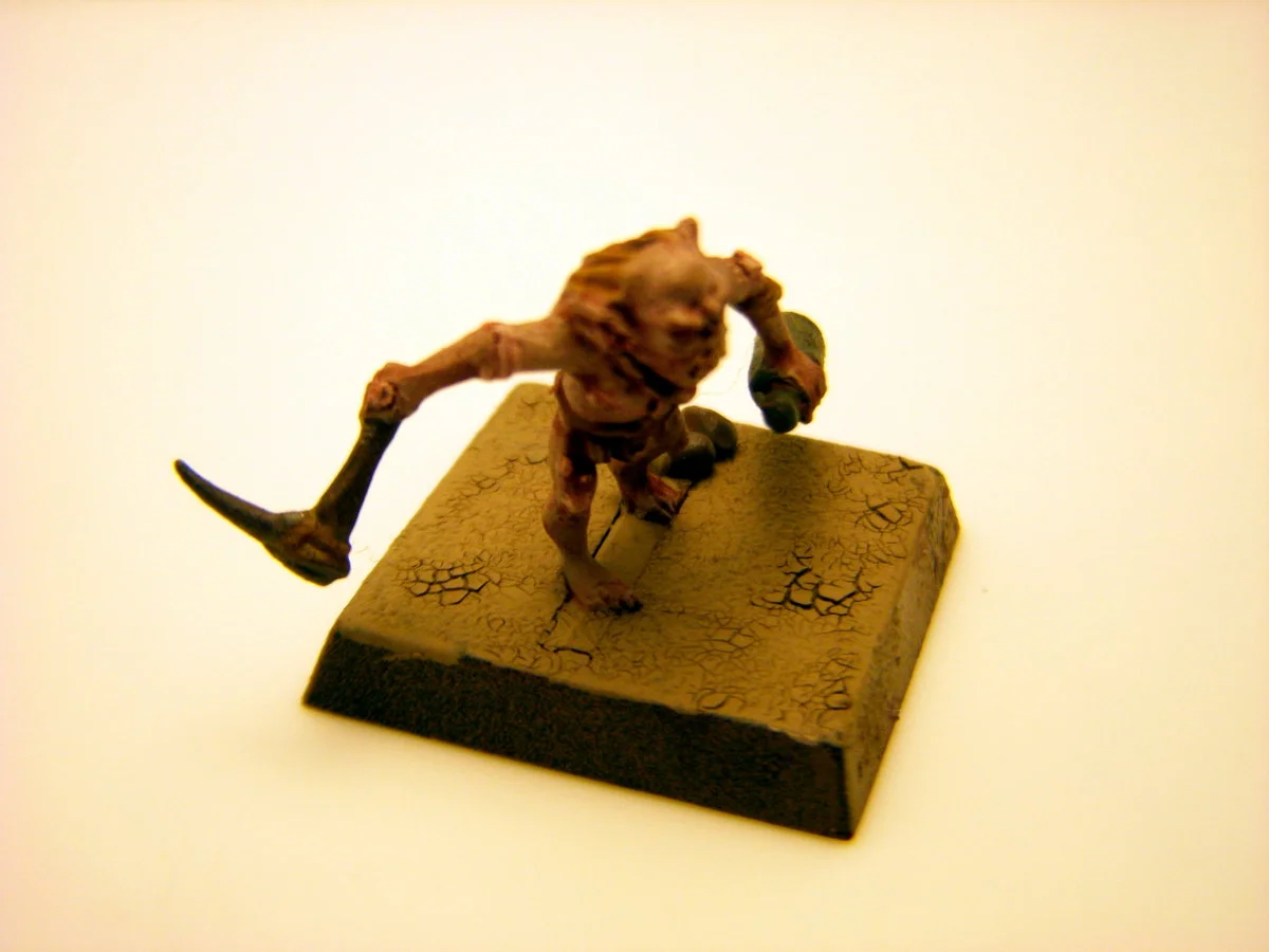DSCN6212.webp