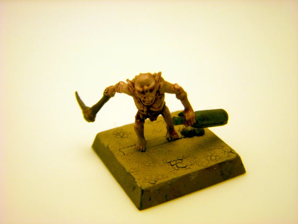 DSCN6214.webp