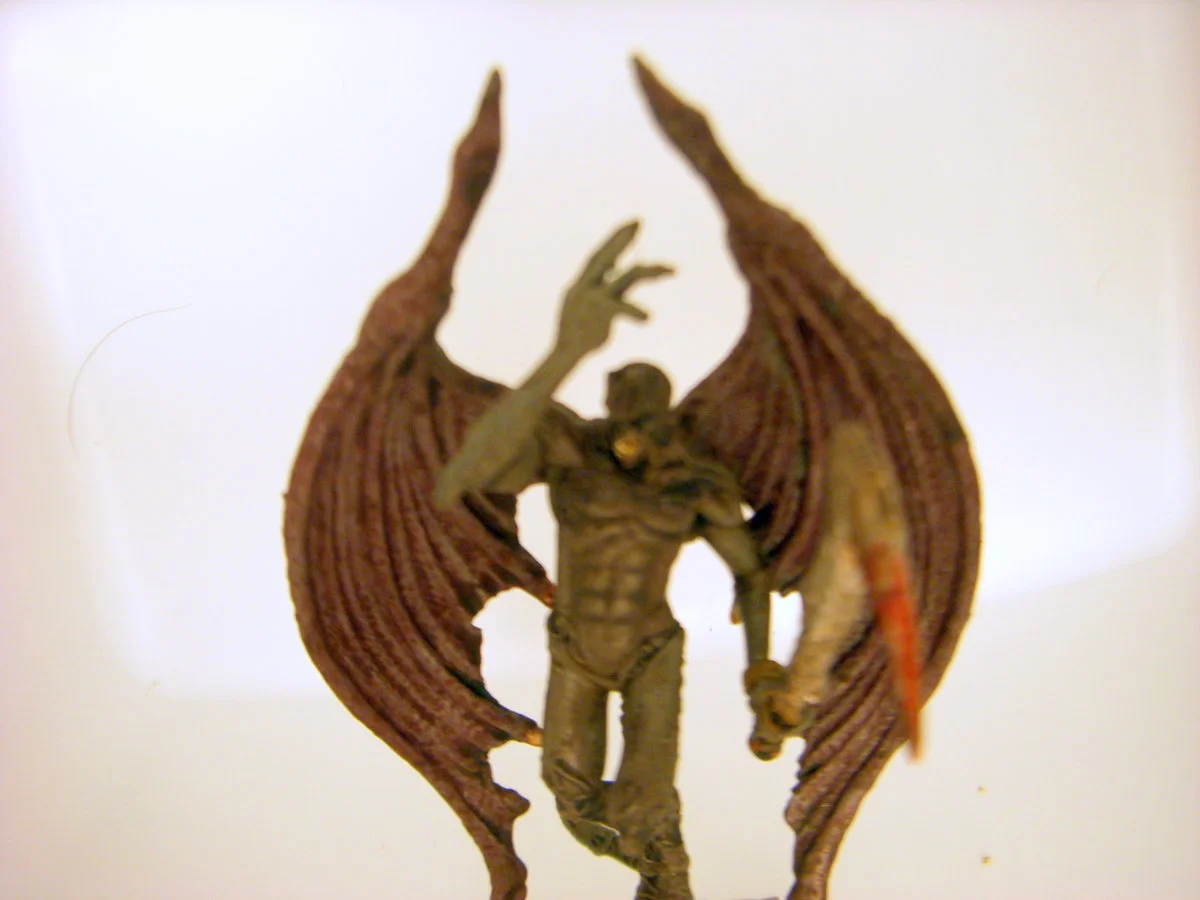 DSCN6246.webp