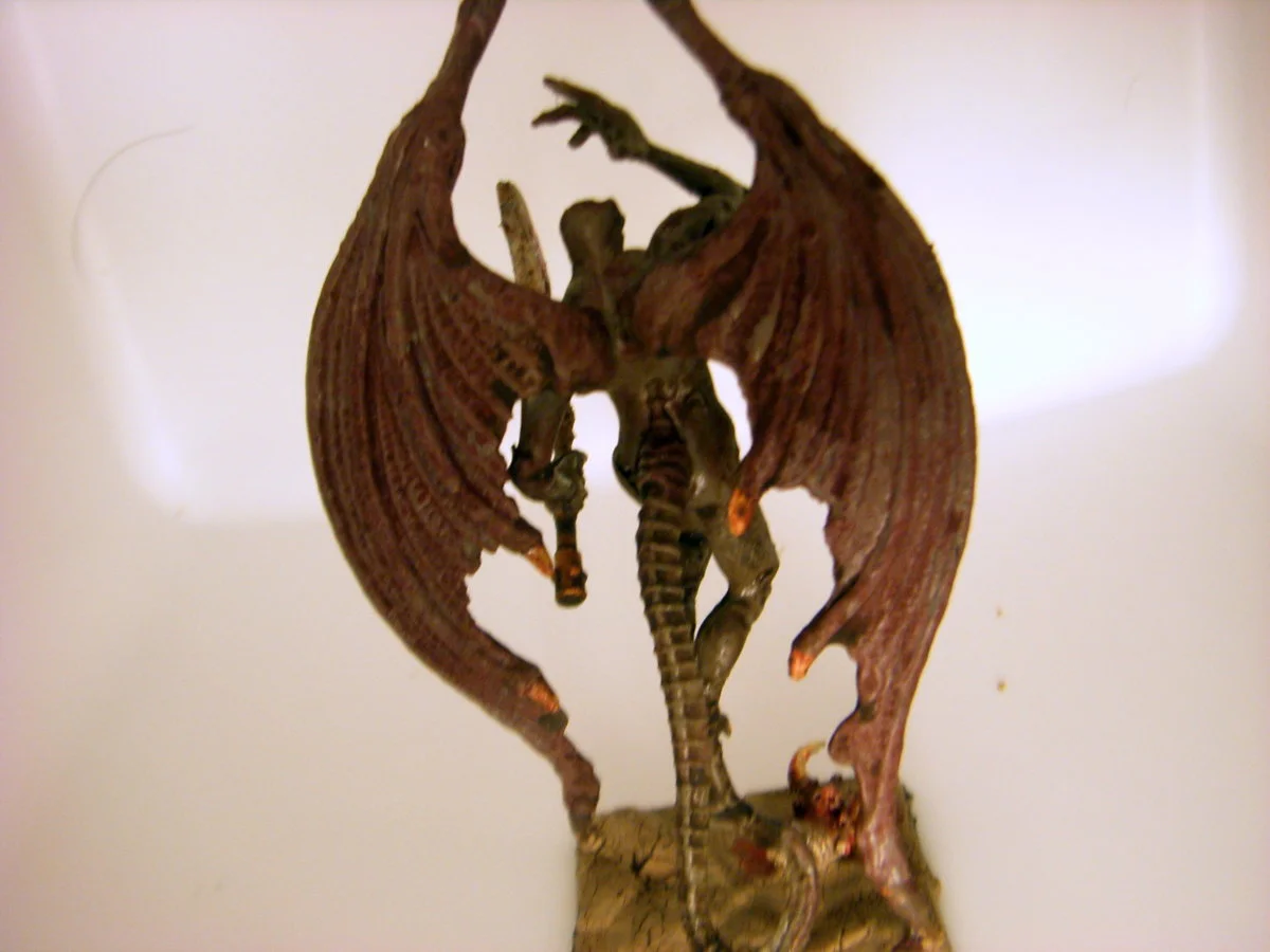 DSCN6247.webp