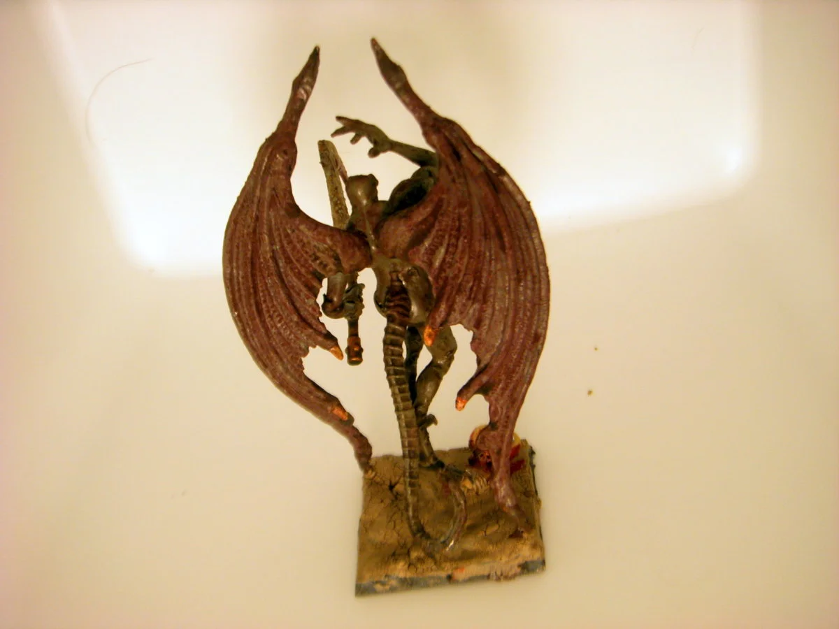 DSCN6248.webp