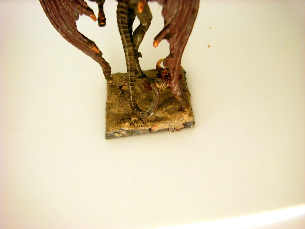 DSCN6249.webp