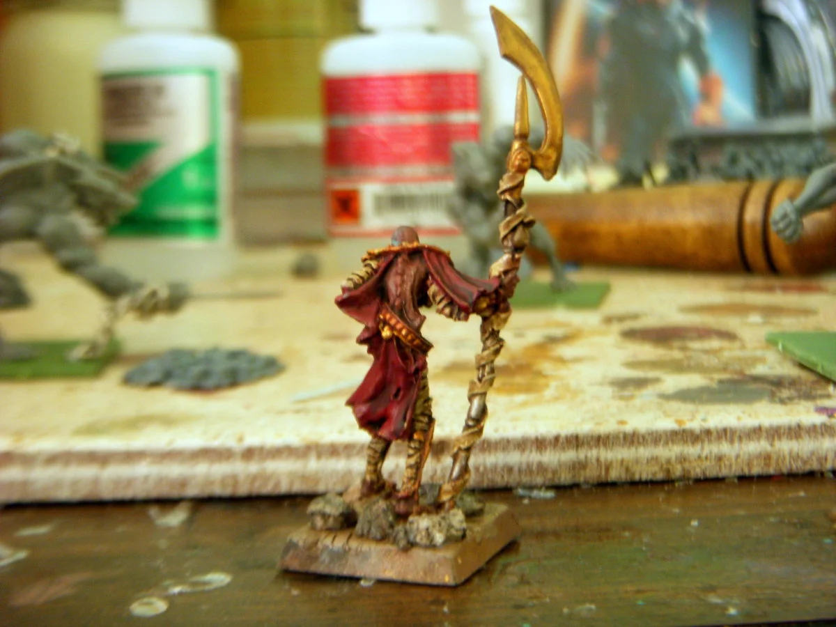 DSCN6268.webp