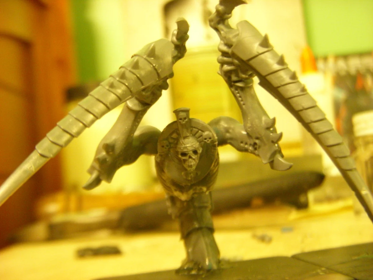 DSCN6273.webp