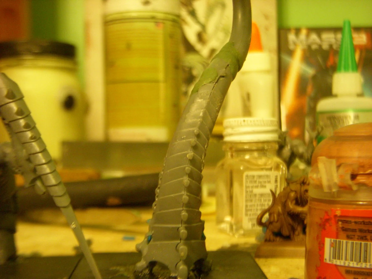 DSCN6279.webp