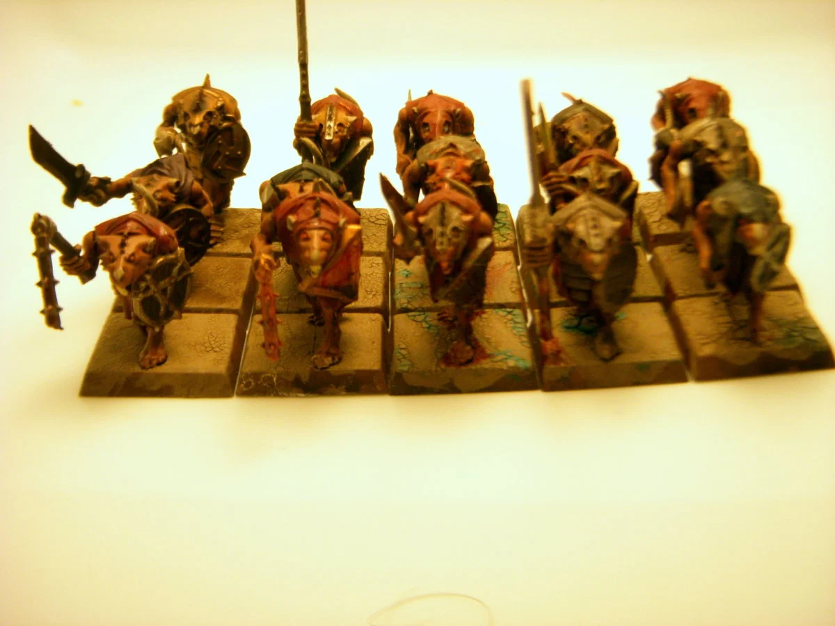 DSCN6300.webp