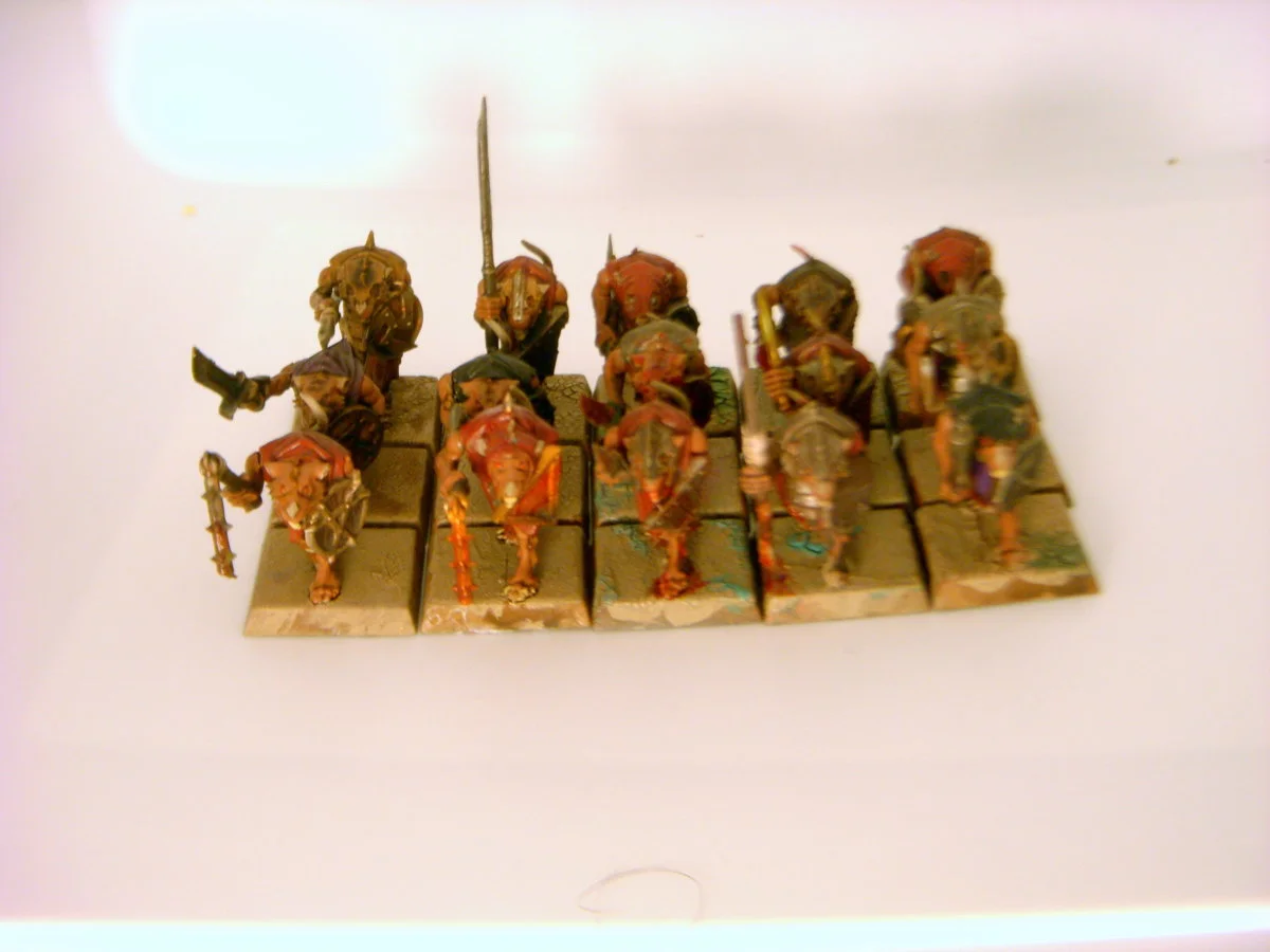 DSCN6302.webp