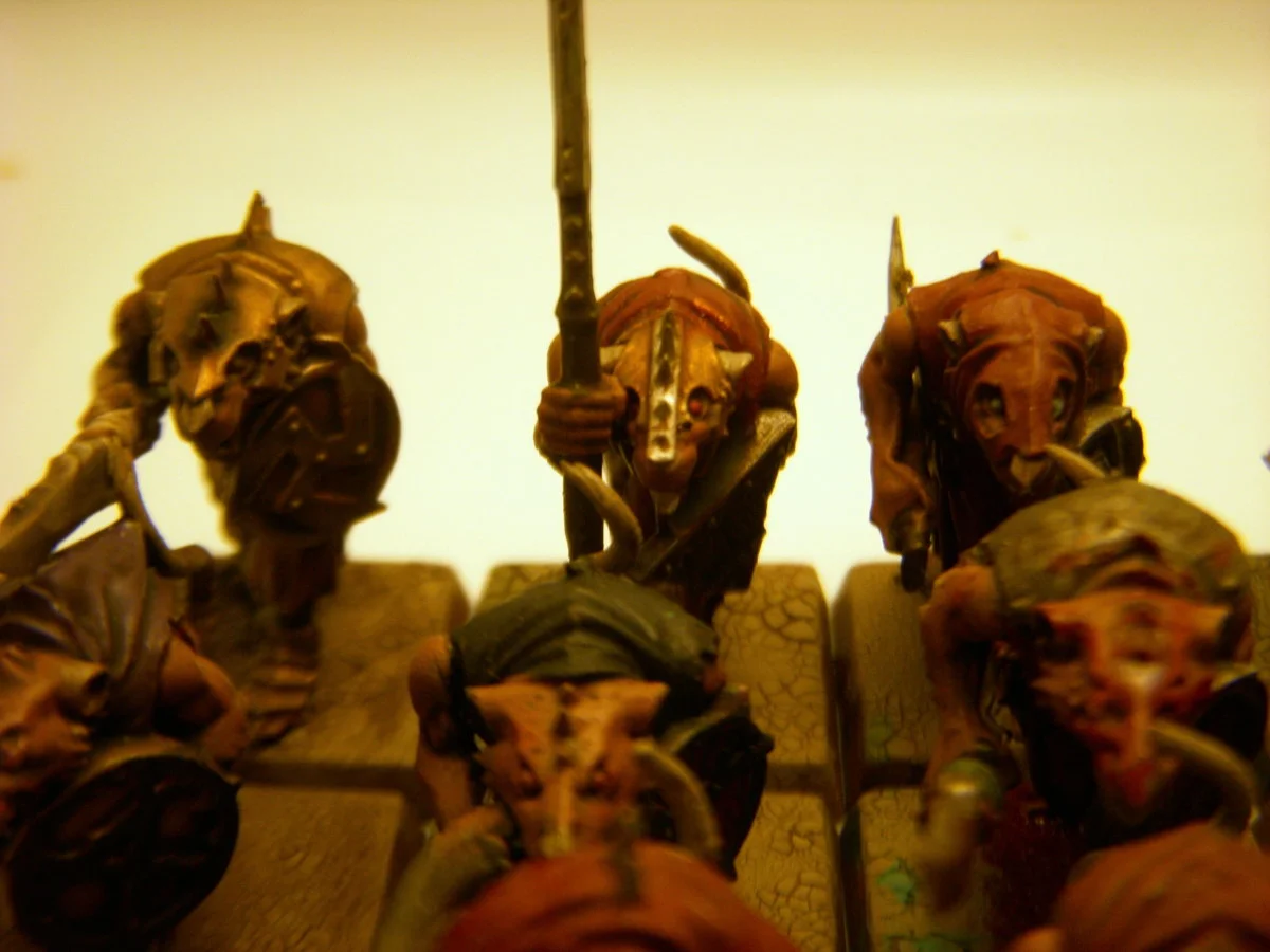 DSCN6309.webp