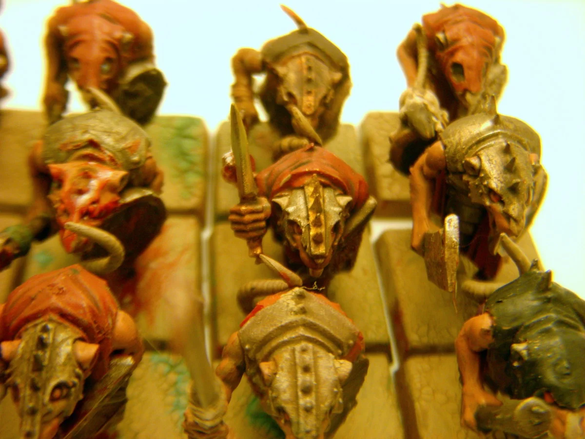 DSCN6310.webp