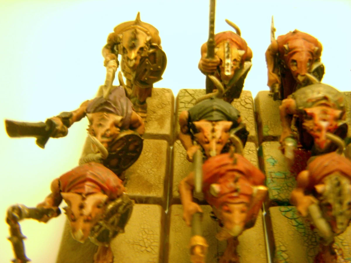 DSCN6311.webp