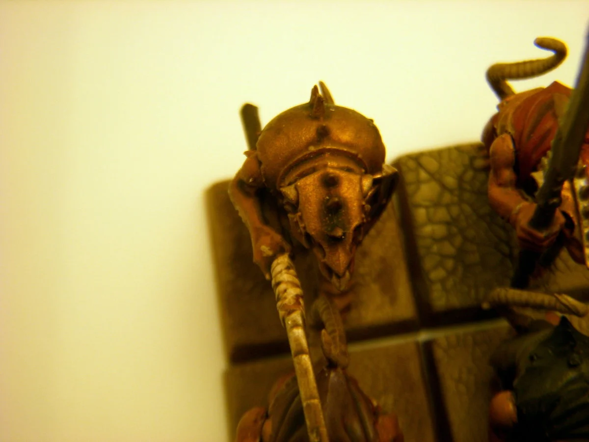 DSCN6312.webp