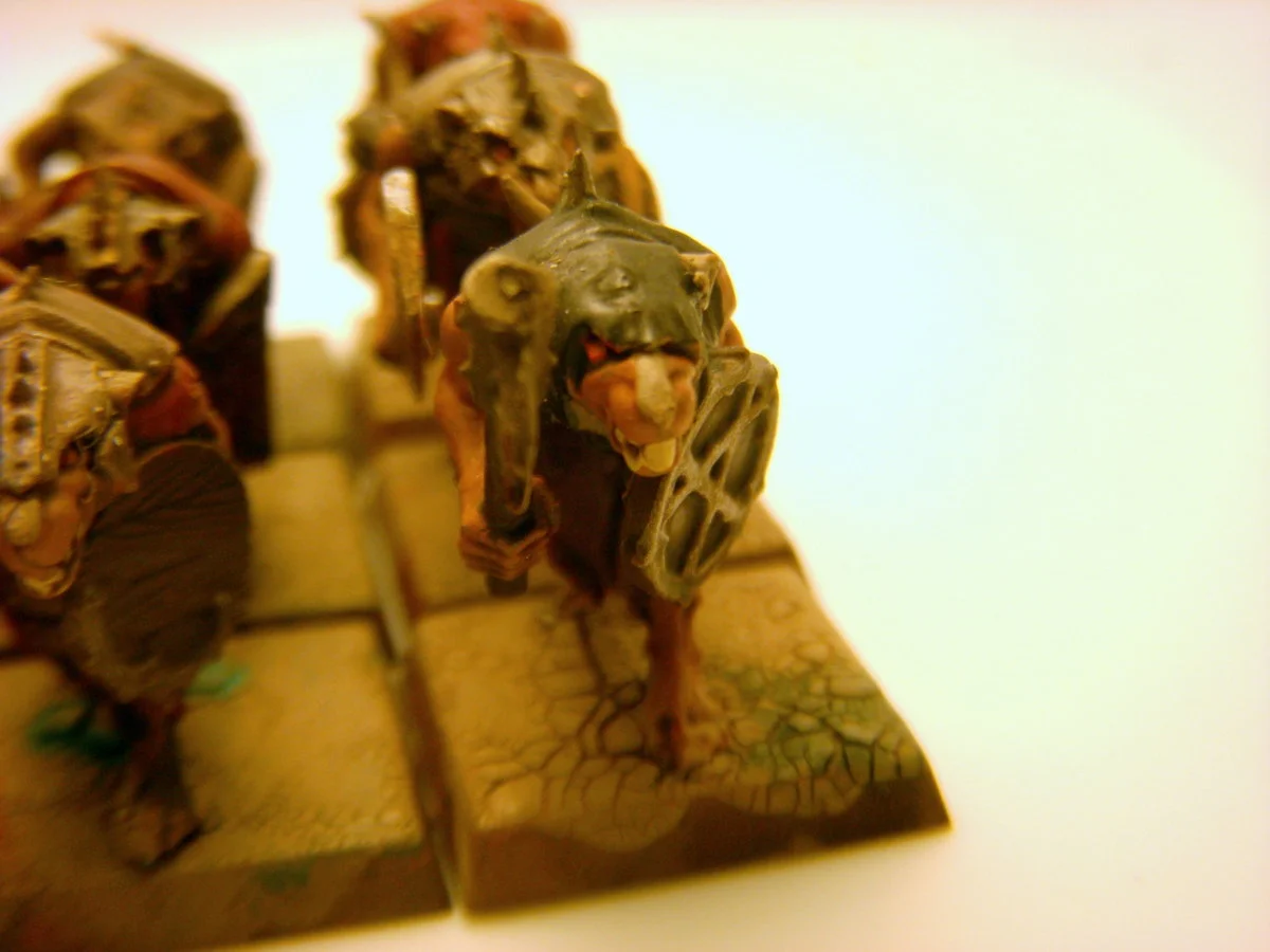 DSCN6313.webp