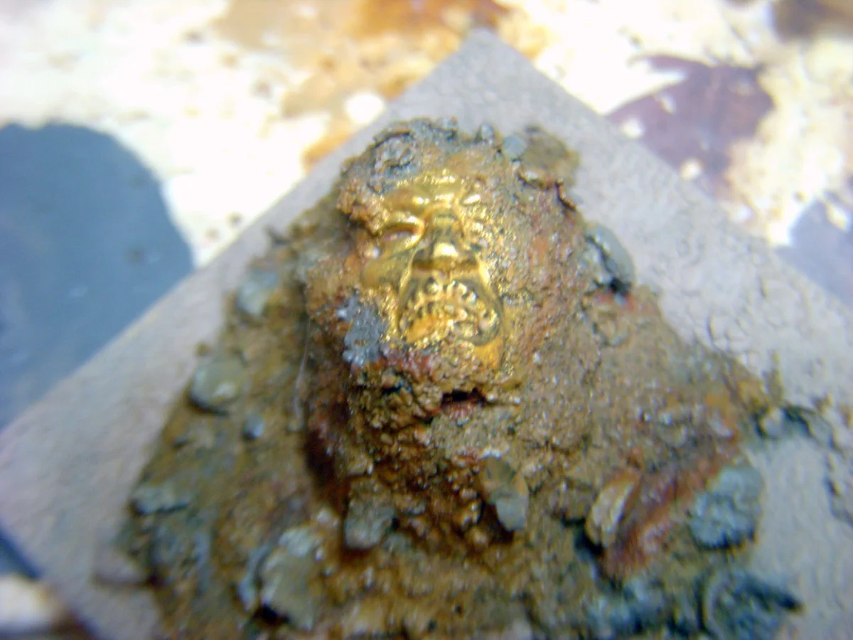DSCN6329.webp