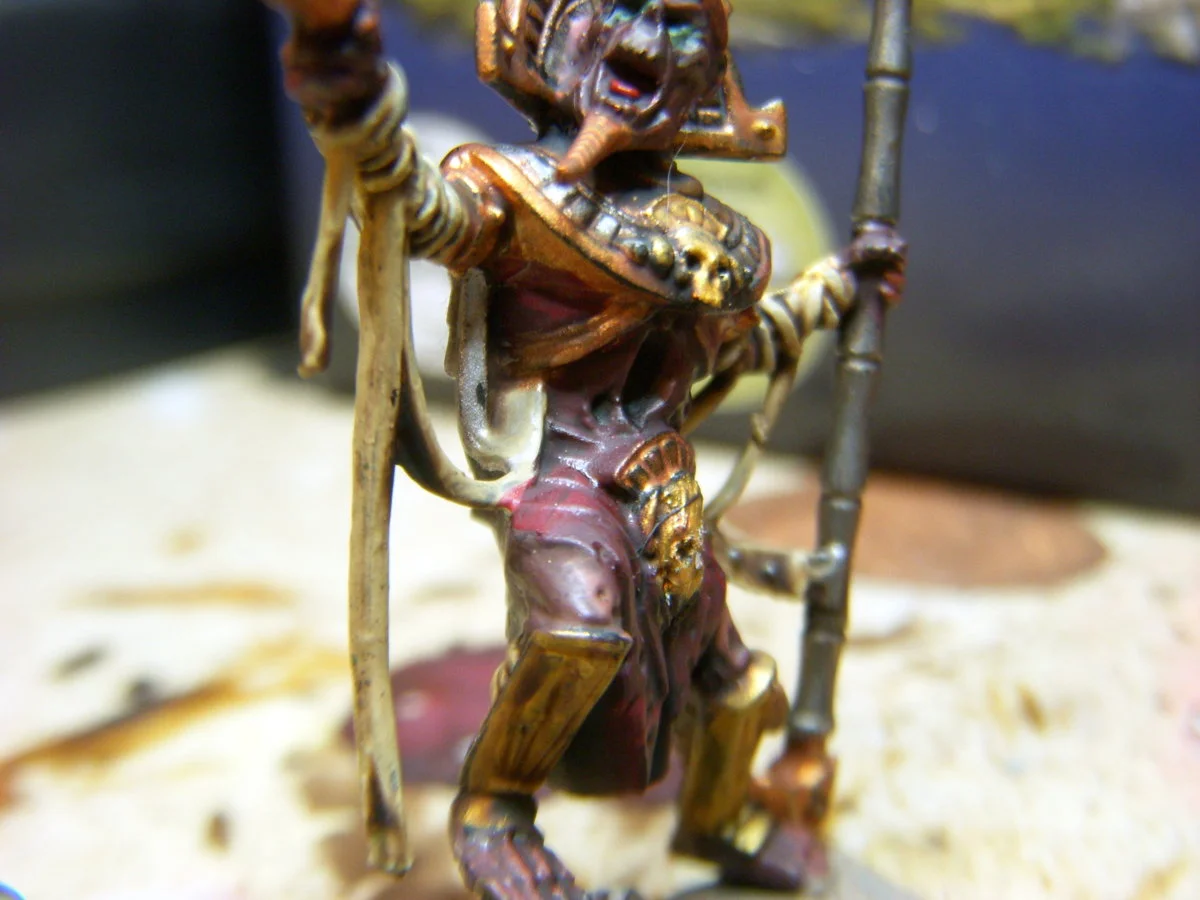 DSCN6371.webp