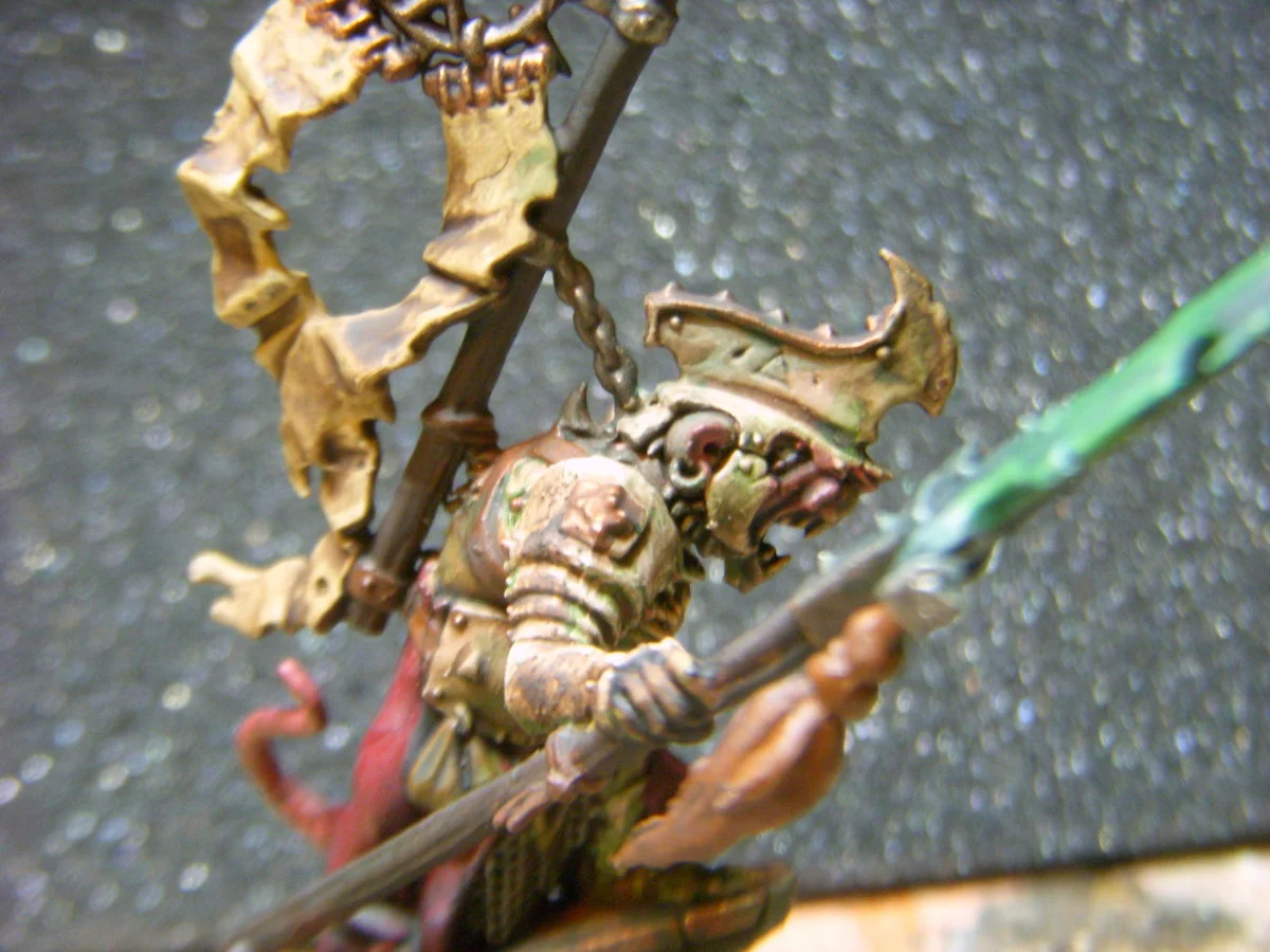 DSCN6531.webp