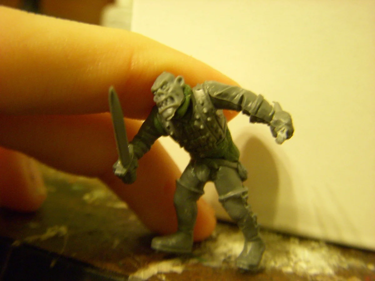 DSCN6608.webp