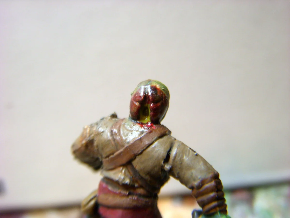 DSCN6673.webp