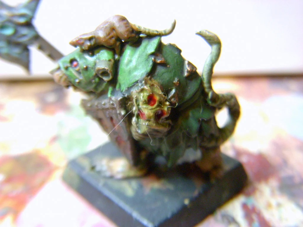 DSCN6732.webp