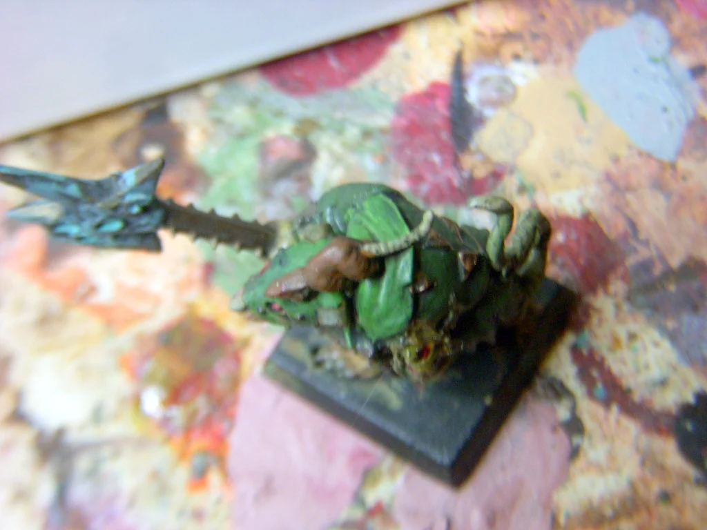 DSCN6735.webp