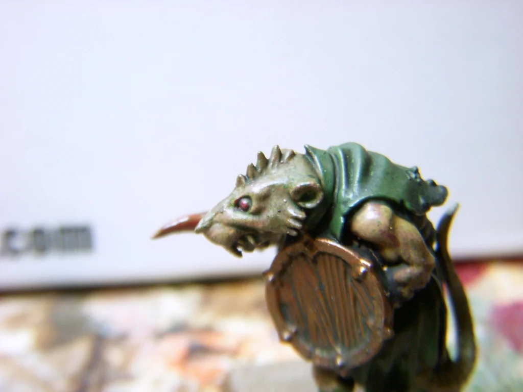 DSCN6742.webp