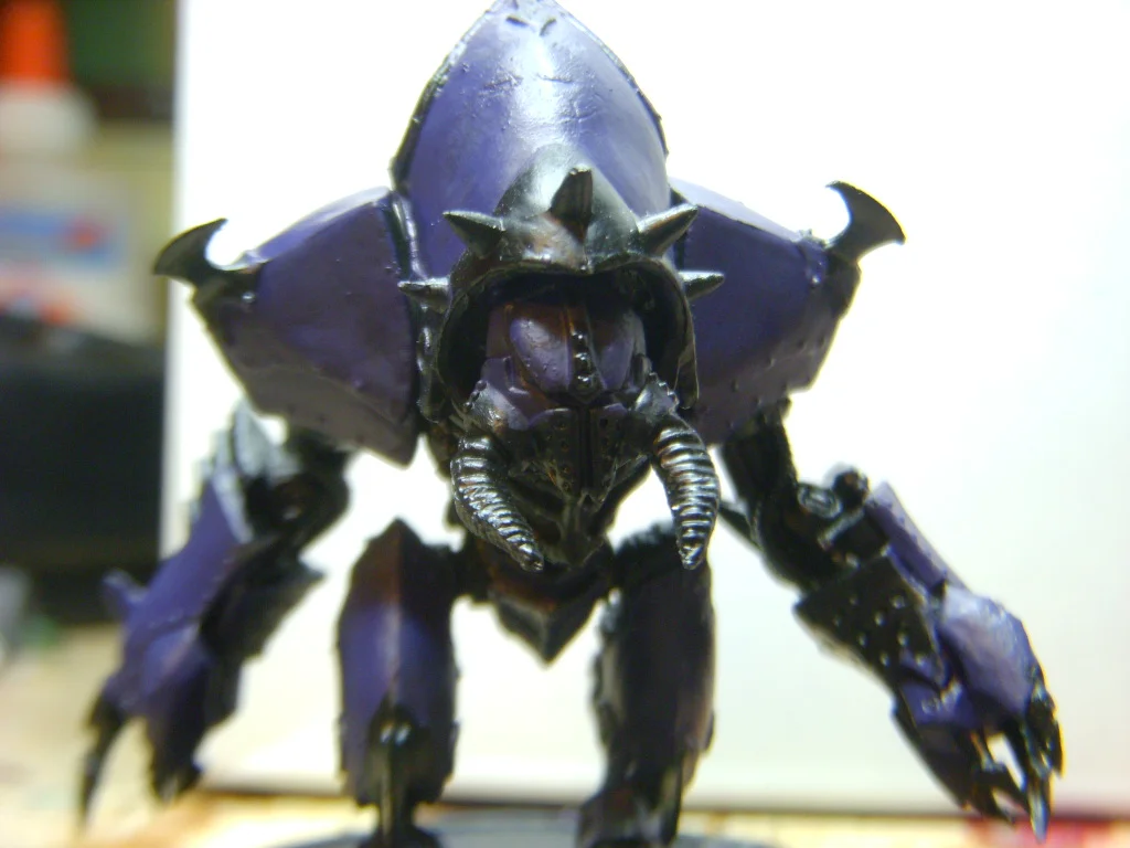 DSCN6760.webp