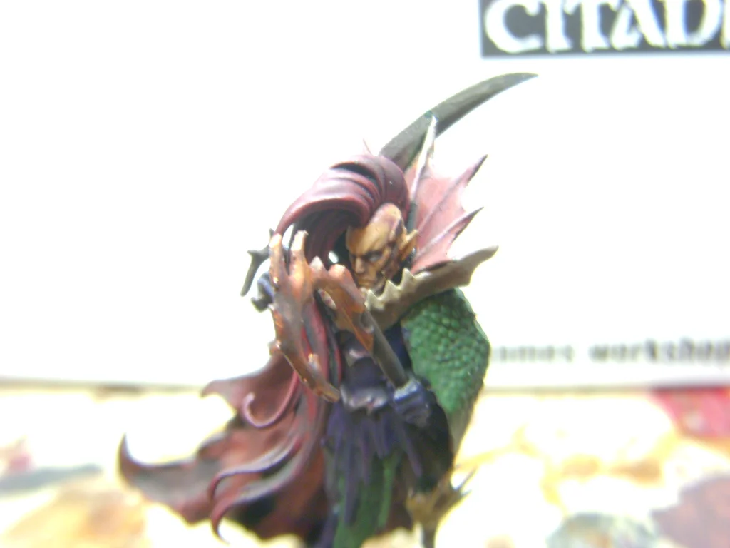 DSCN6854.webp