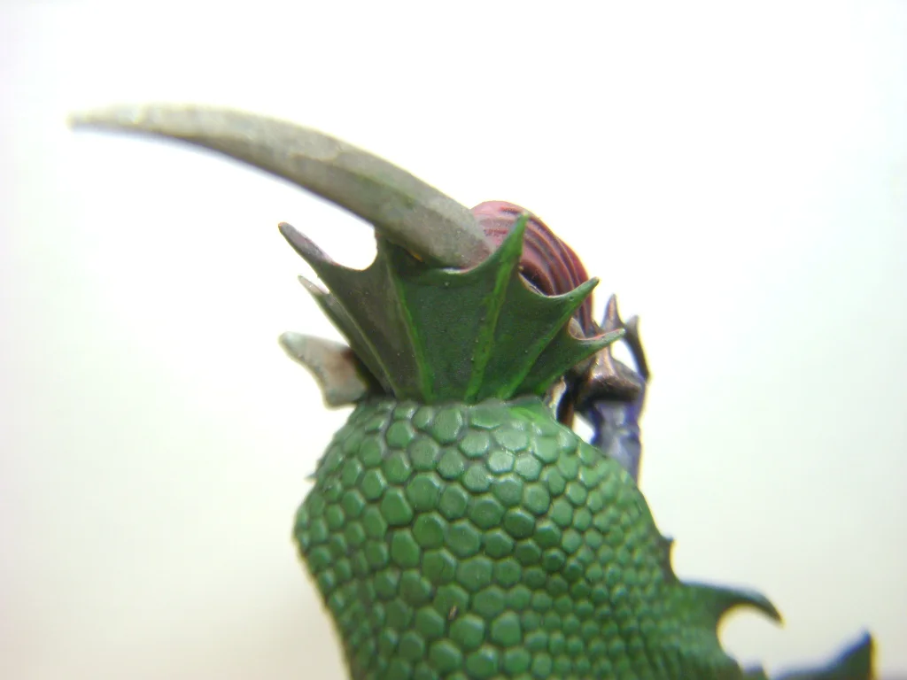 DSCN6865.webp