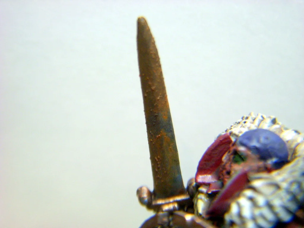 DSCN6880.webp